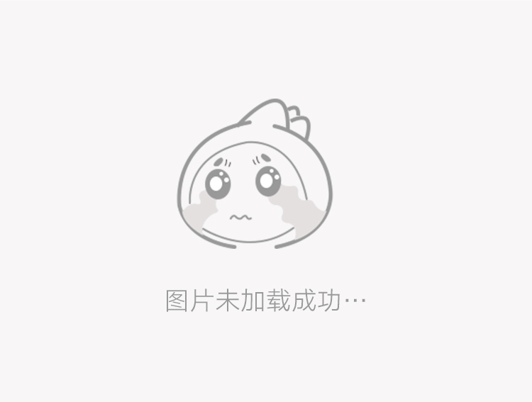 有载体和无载体激光打印机的